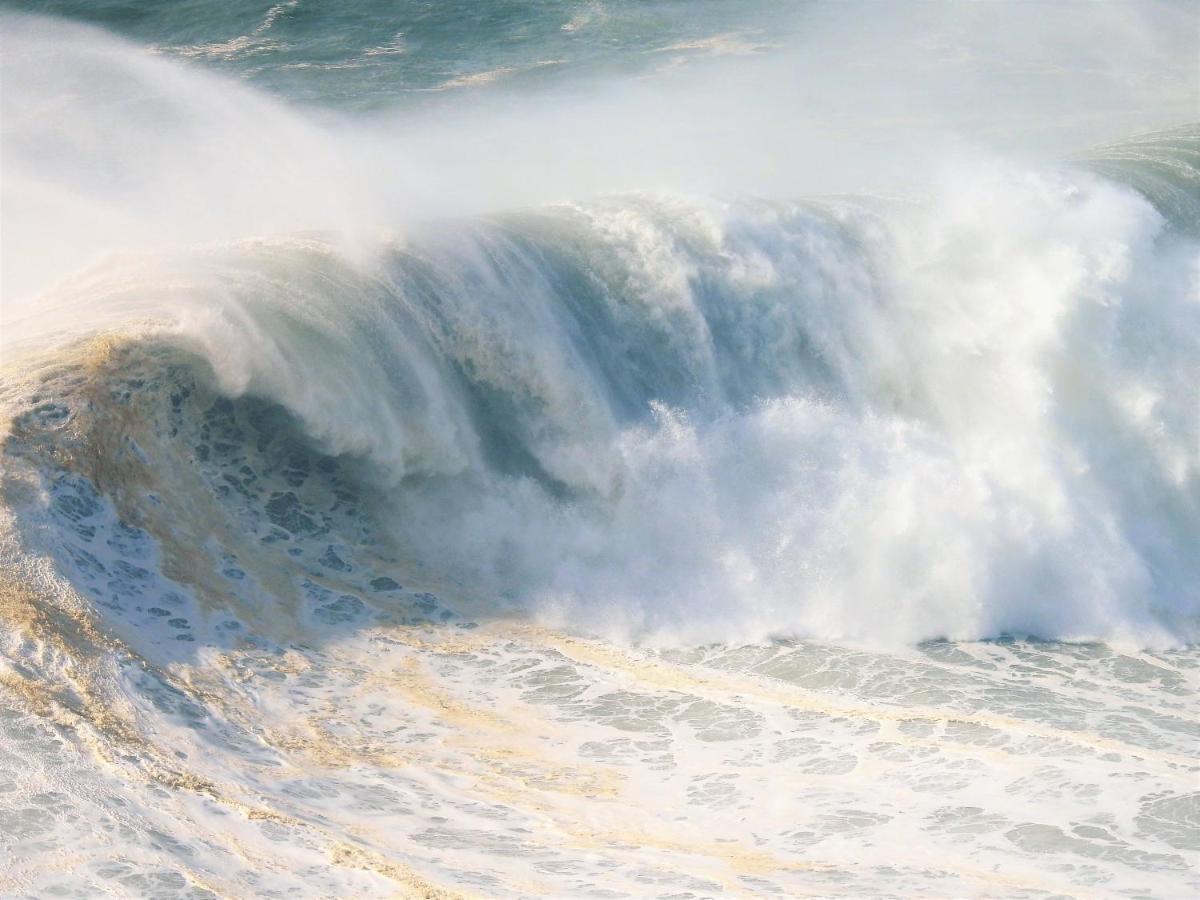 White Swell By Sitio Da Nazare Apartment Exterior photo